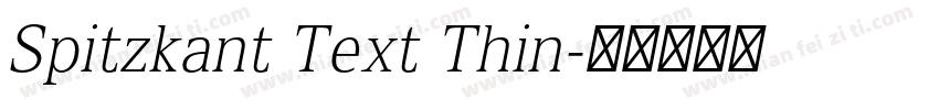 Spitzkant Text Thin字体转换
